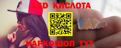 прущие грибы Тулун