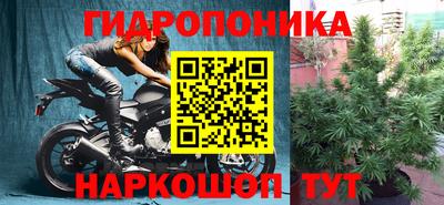 Альфа ПВП Тула