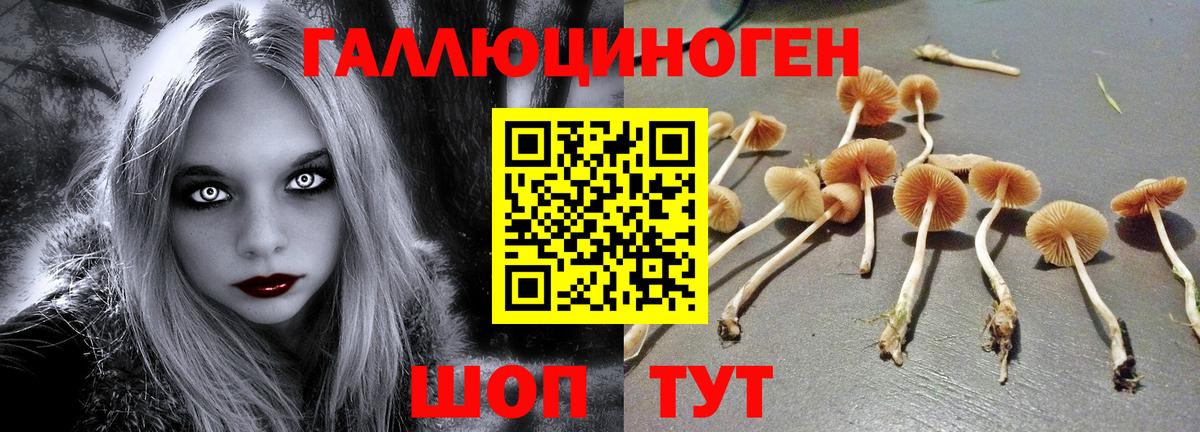 Галлюциногенные грибы Psilocybine cubensis  Вход с VPN  где купить наркоту  Петрозаводск 